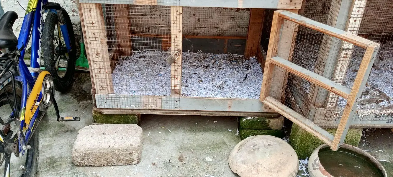 Cages for sale — photo 4