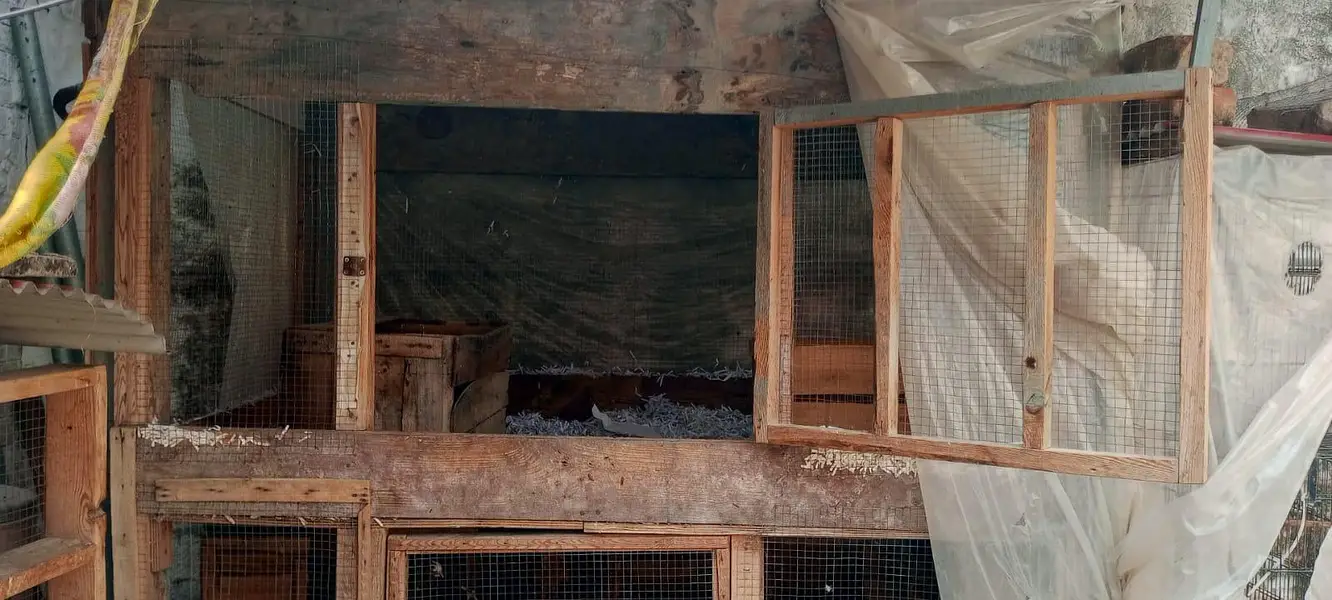 Cages for sale — photo 5