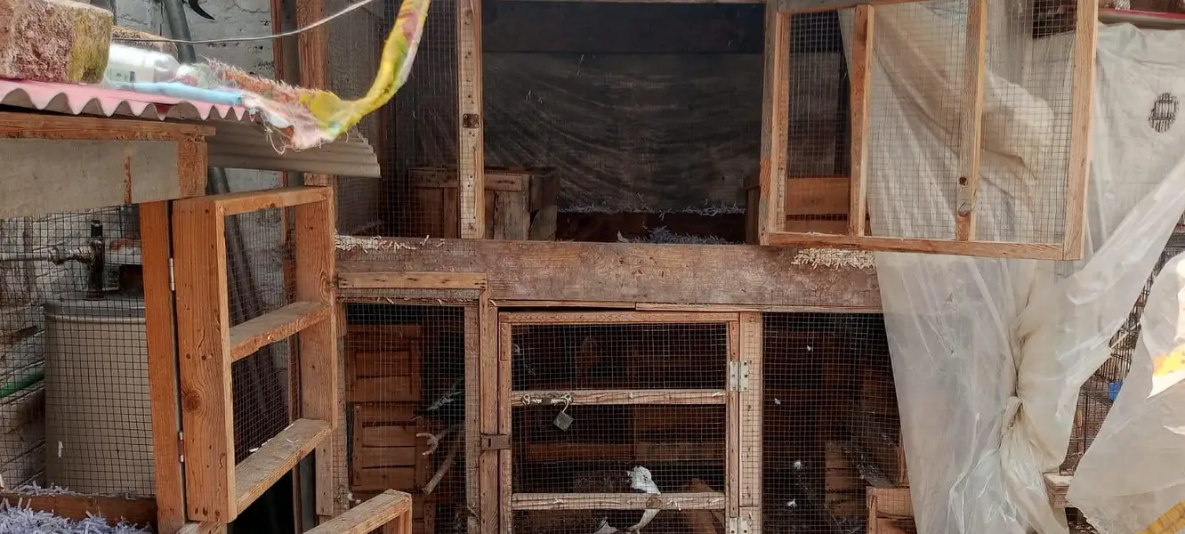 Cages for sale — photo 6