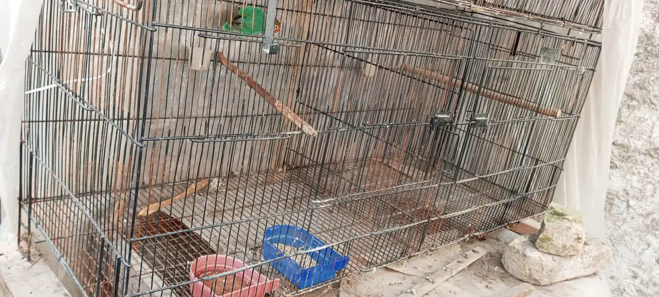 Cages for sale — photo 8