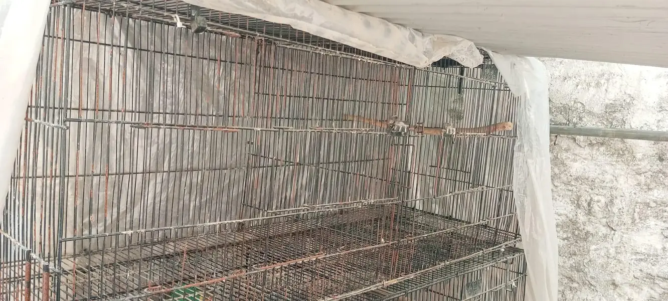 Cages for sale — photo 9