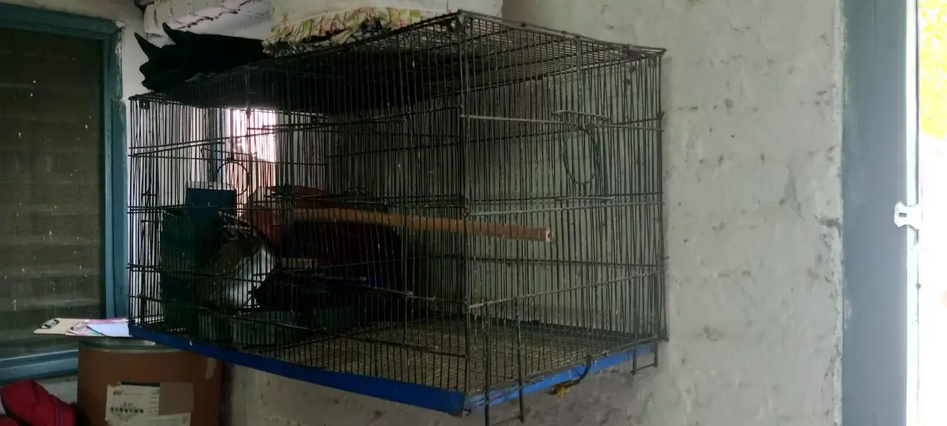 Cages for sale — photo 10