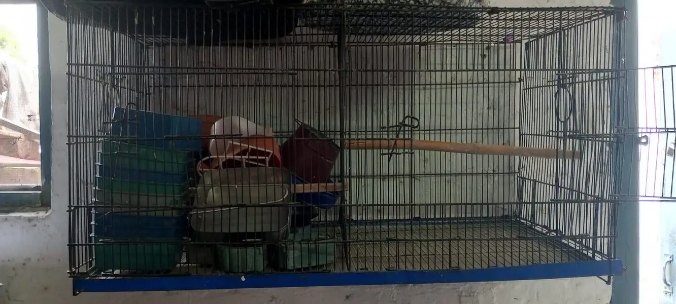 Cages for sale — photo 11