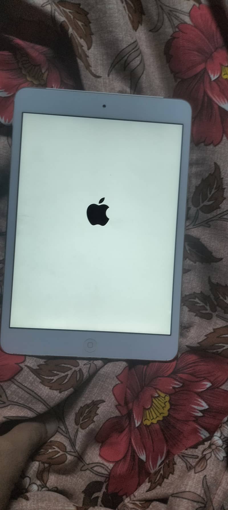 iPad mini 2 fresh ha 2