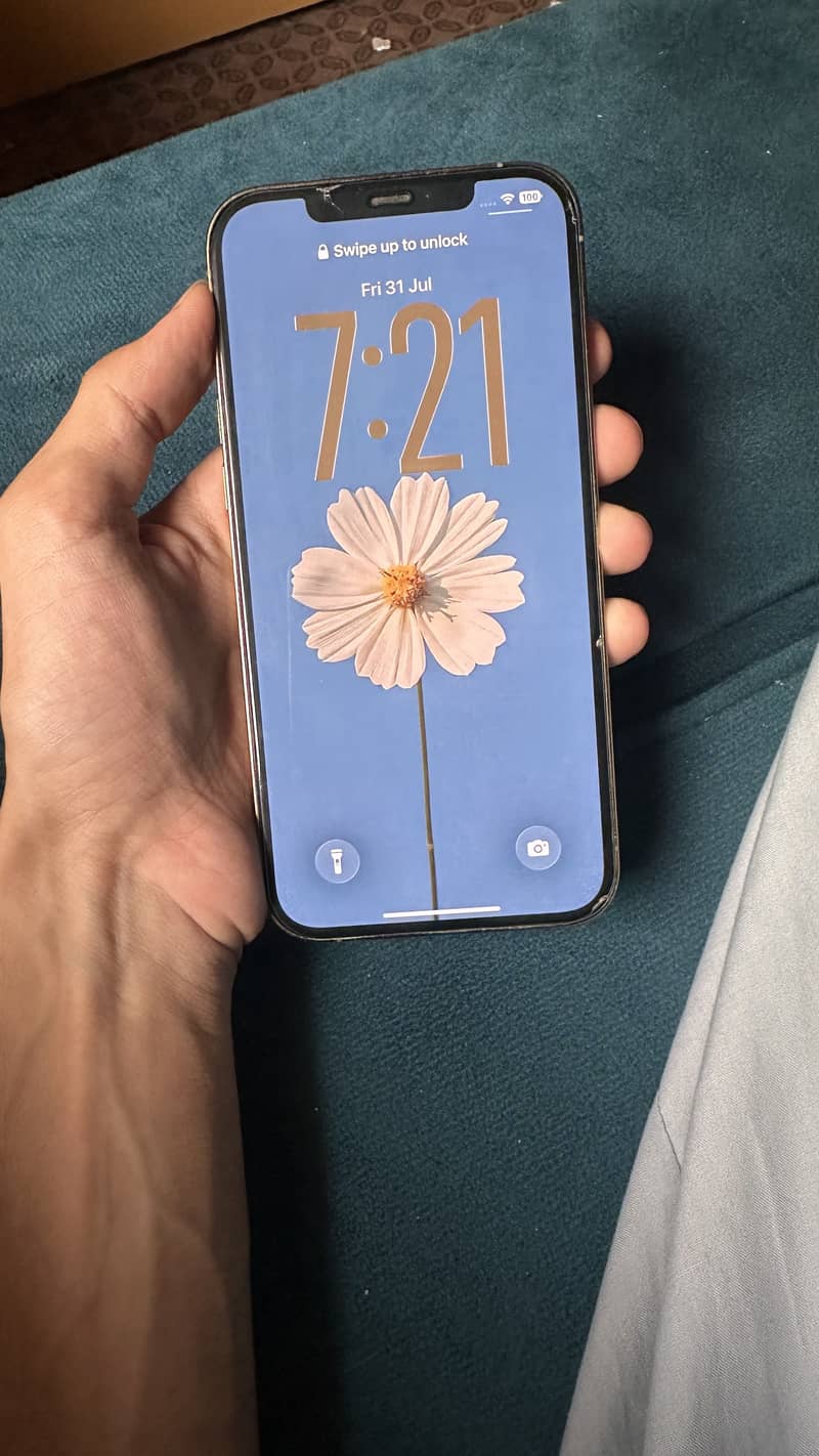 Apple iPhone 12 Pro Max 1