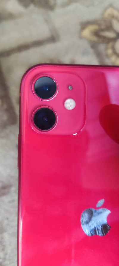 Apple iPhone 11 no exchange only sale