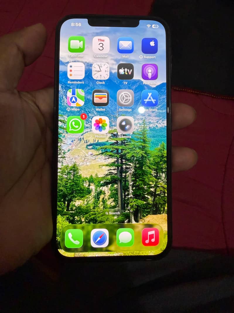 Apple iPhone 12 Pro Max 9