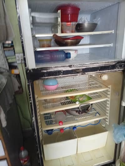 pel refrigerator