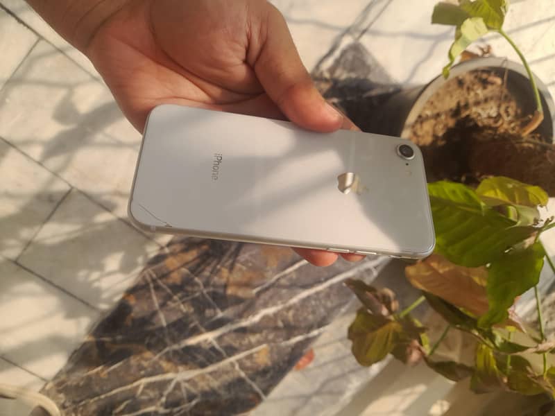 Apple iPhone 8 6