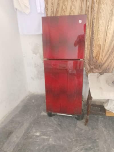 medium size glass door for sale refrigerator