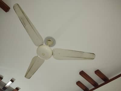 Sonex fan total quantity 26