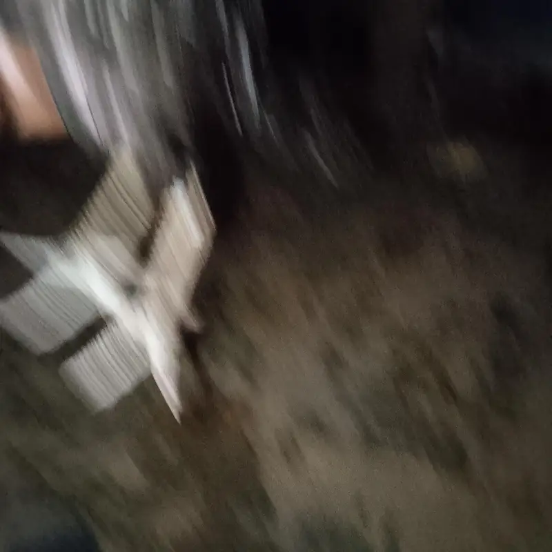 vaitnami aseel bacha ha jis bhai ko chaiye rabta karay shukariya — photo 6