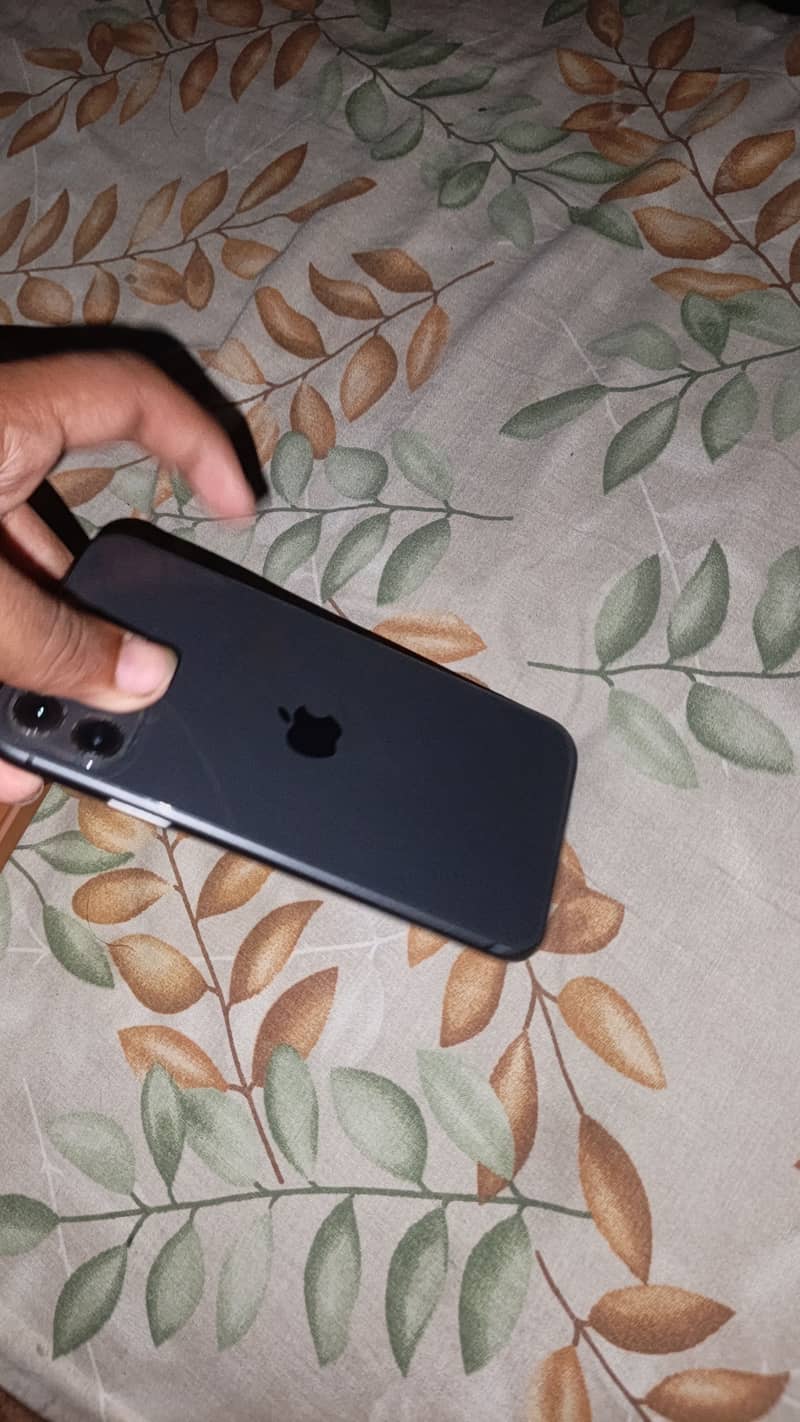 Apple iPhone 11 3