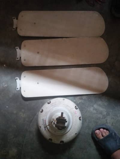 2 fans for summer