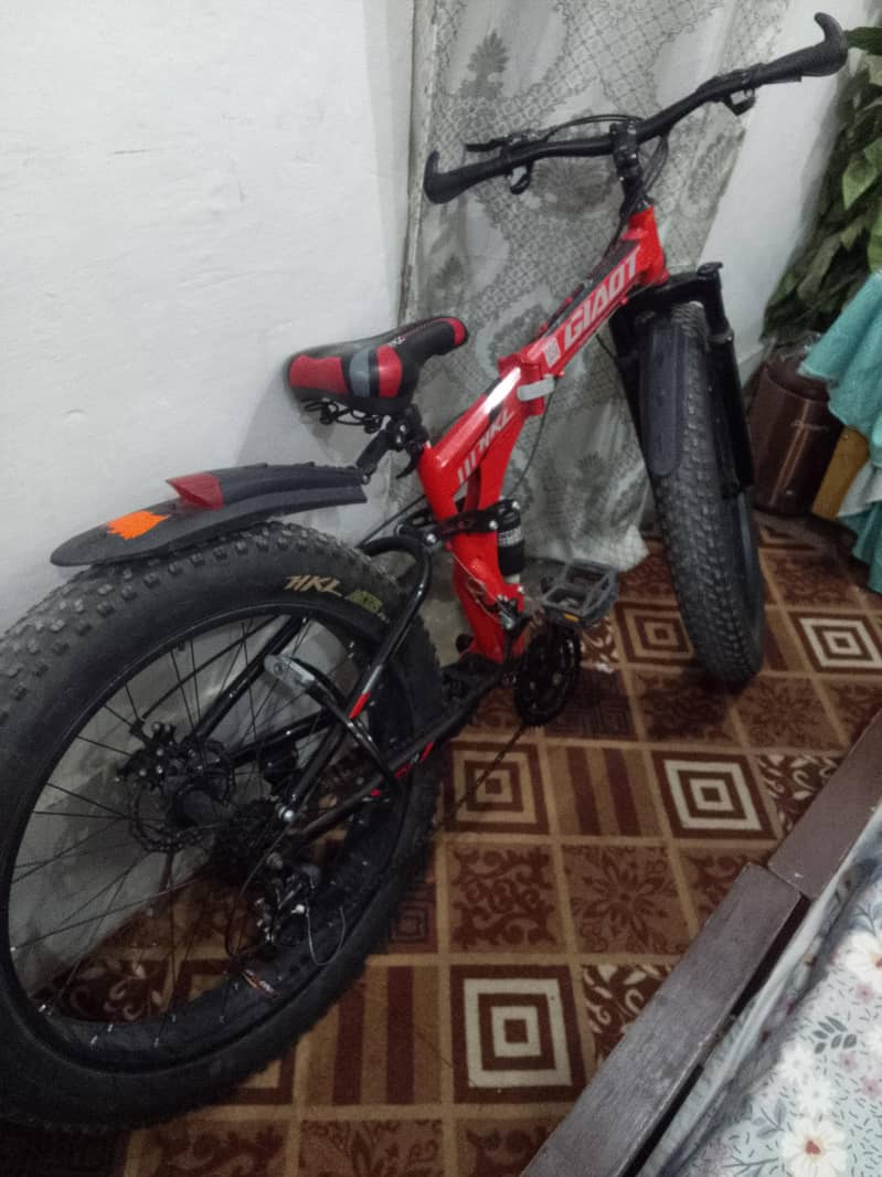 Bycycle 1