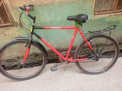 Cycle phoenix