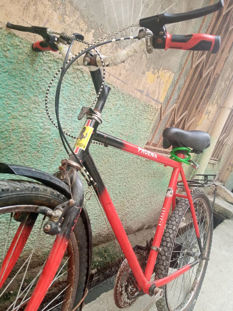 Cycle phoenix 2