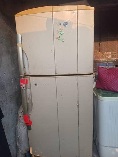 pel fridge