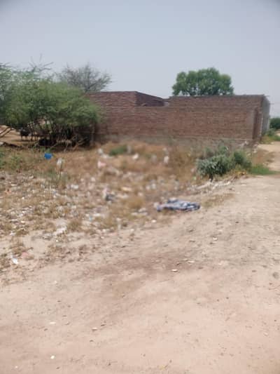 Chanchal Singh Wala/241RB