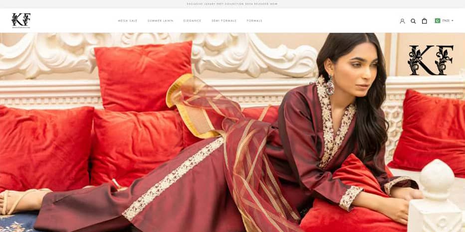 Professional Web Development & E-Commerce Solutions(All Over Pakistan) 5