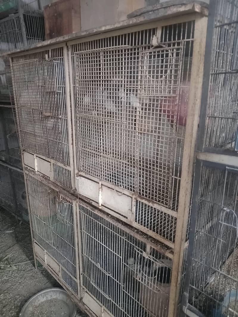 cages 0