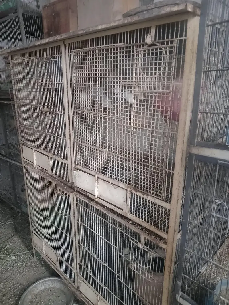 cages