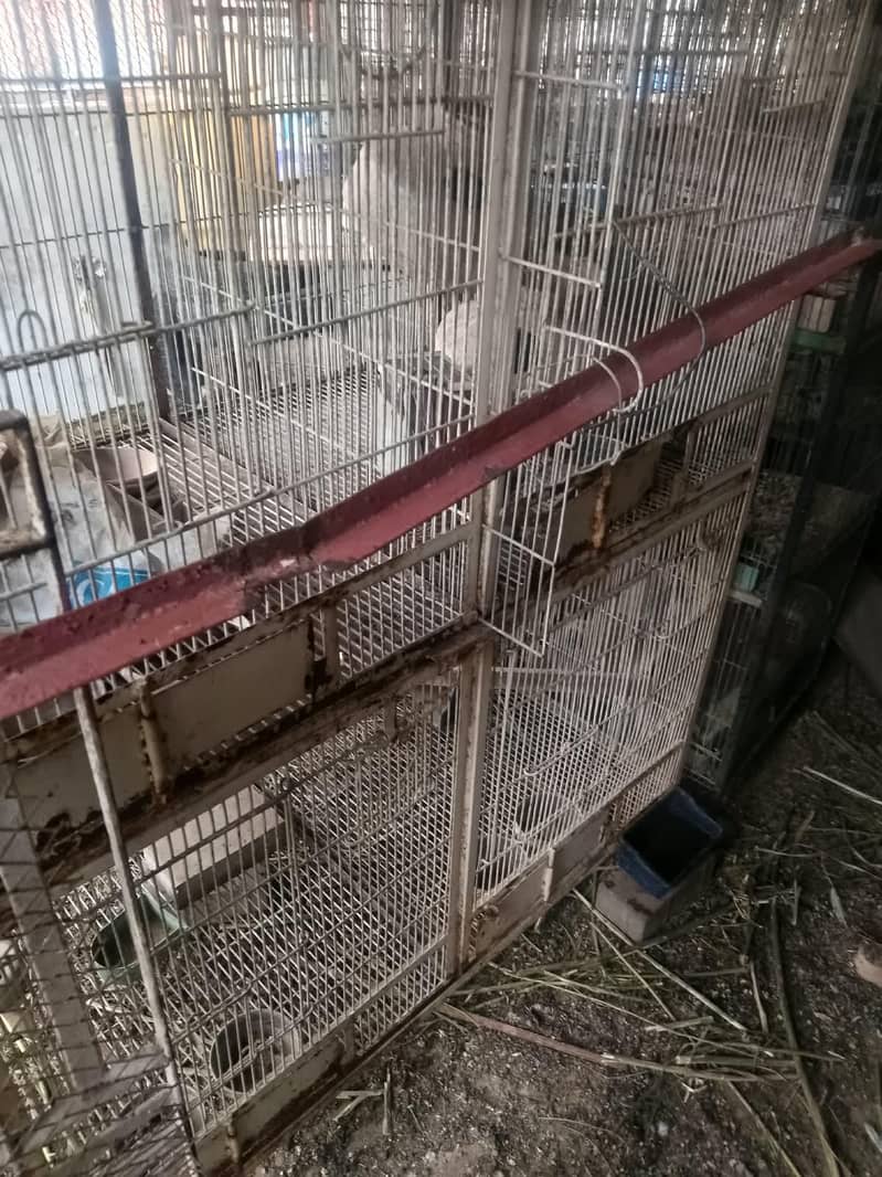 cages 3