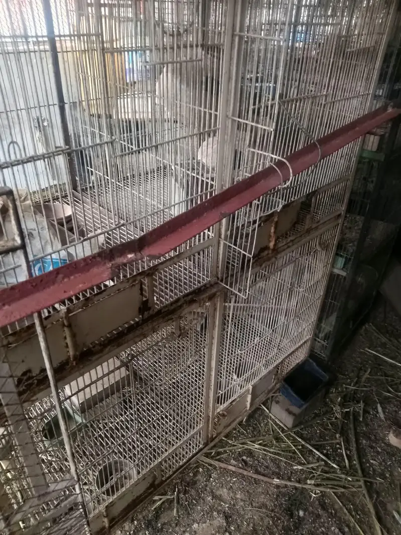 cages — photo 4