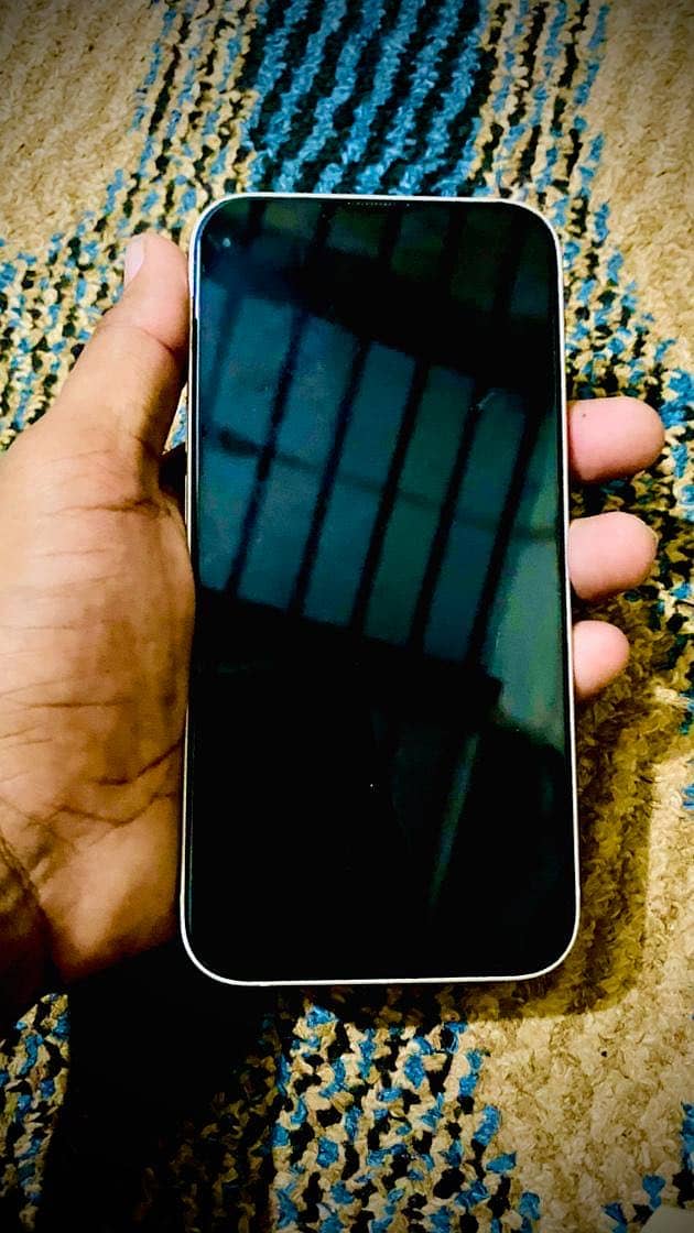 Apple iPhone 13 1