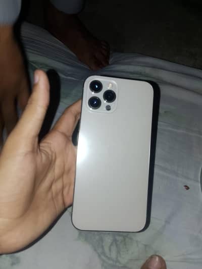 Apple iPhone 12 Pro Max