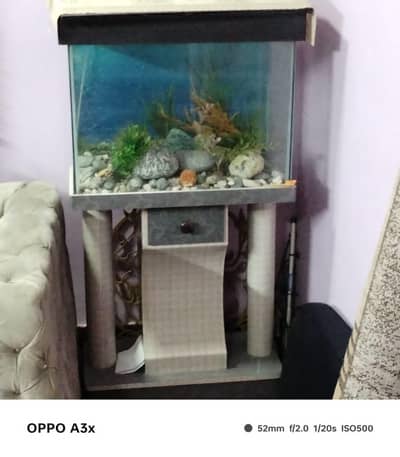 Fish Ekwerium Tank