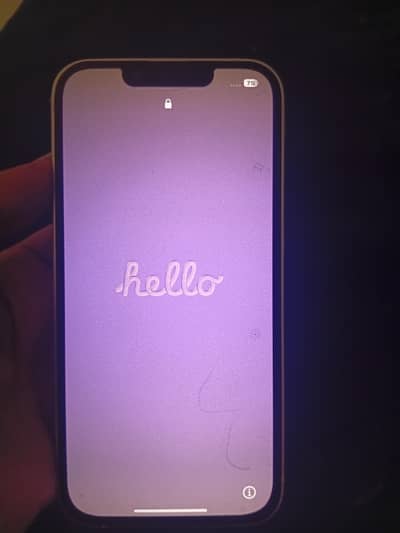Apple iPhone 13