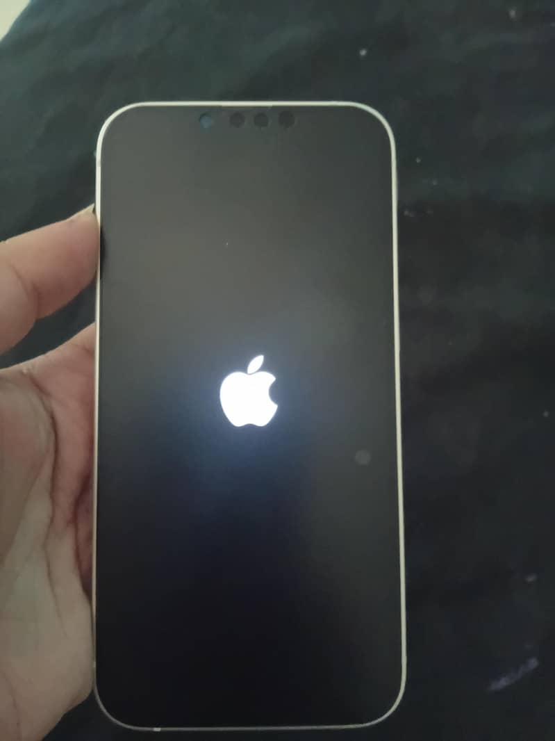 Apple iPhone 13 0