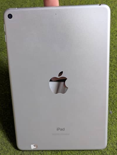 ipad mini 5 ,10by10 candion