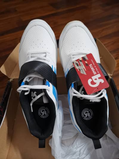 CA Big Bang Max Spikes Shoes Size 12