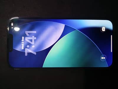 Apple iPhone 13 Pro Max