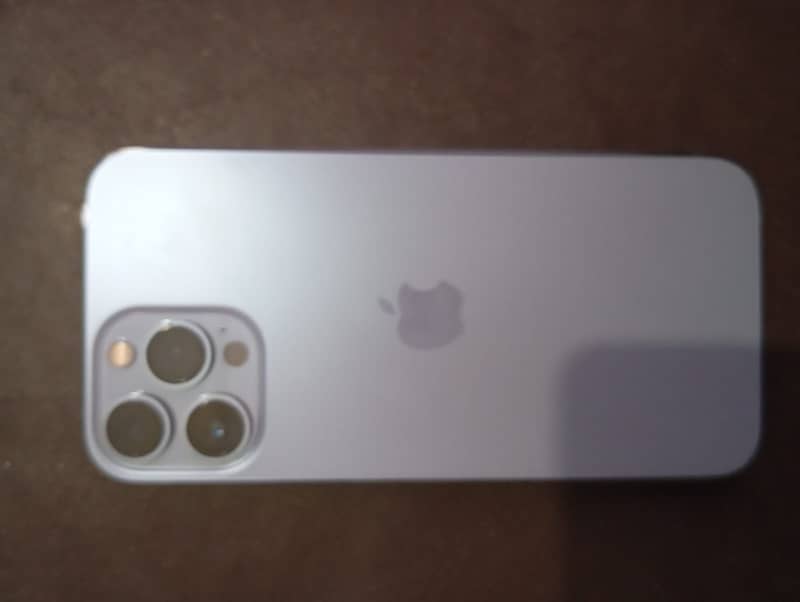 Apple iPhone 13 Pro Max 1