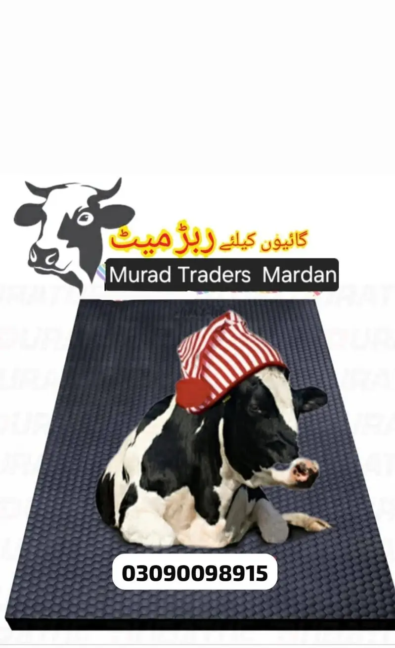 cows Mats — photo 4