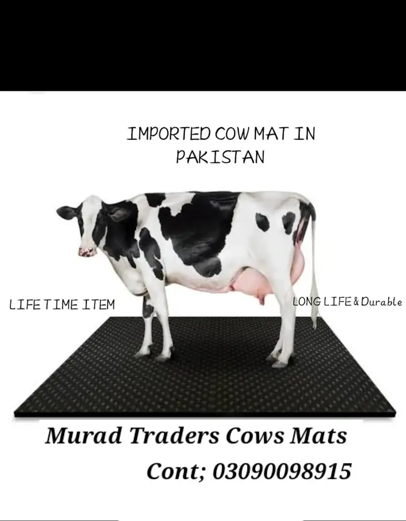 cows Mats — photo 9