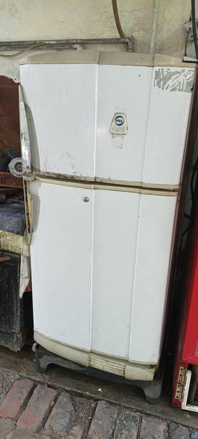 pel fridge for sale