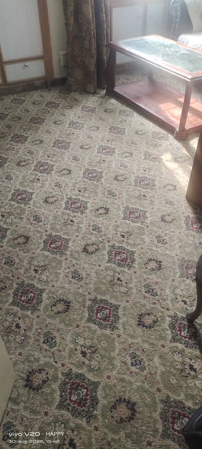 wall to wall carpet
