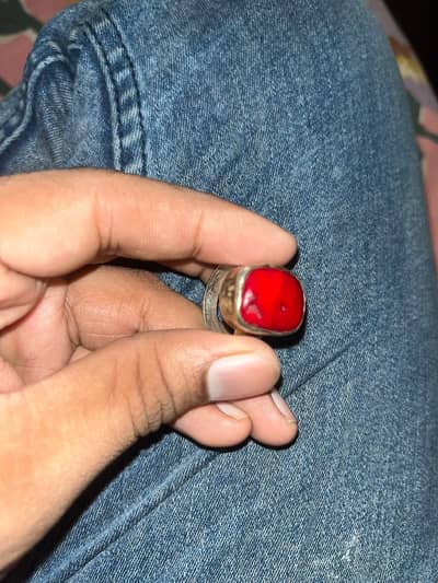 Marjan stone Red Coral