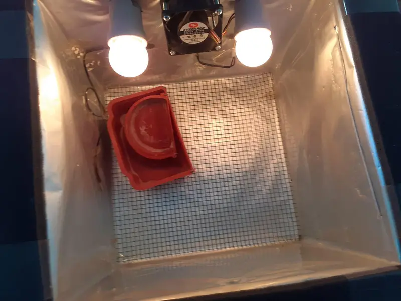 incubator for sale — photo 3