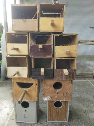 Breeding Box