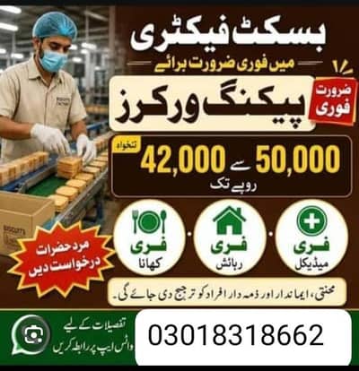 need urgent staff innovative biscuits packing male and female jobs