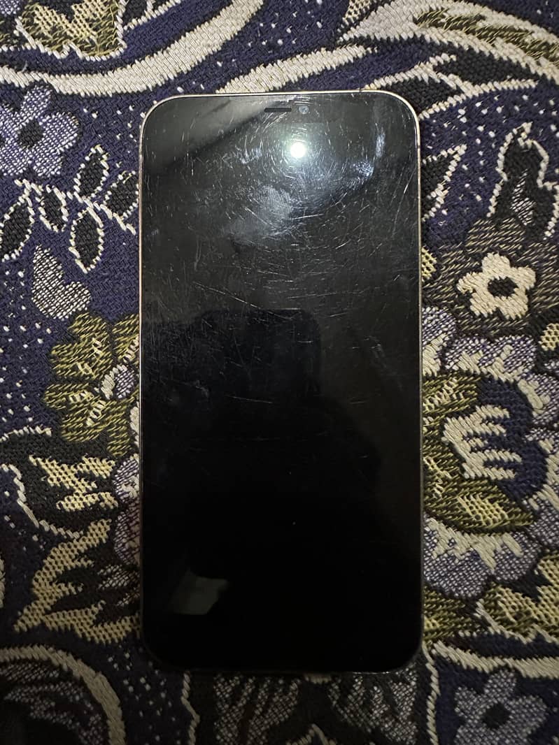 Apple iPhone 12 Pro Max 1