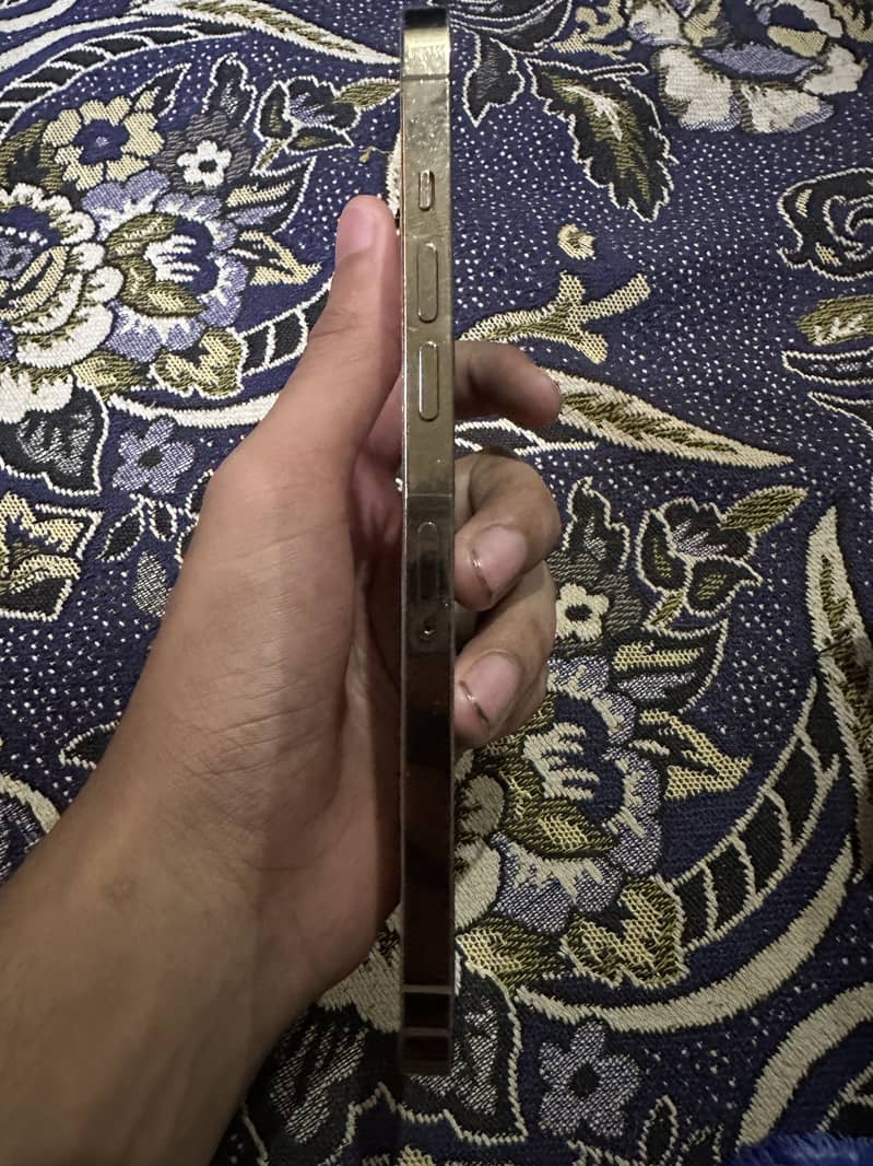 Apple iPhone 12 Pro Max 2