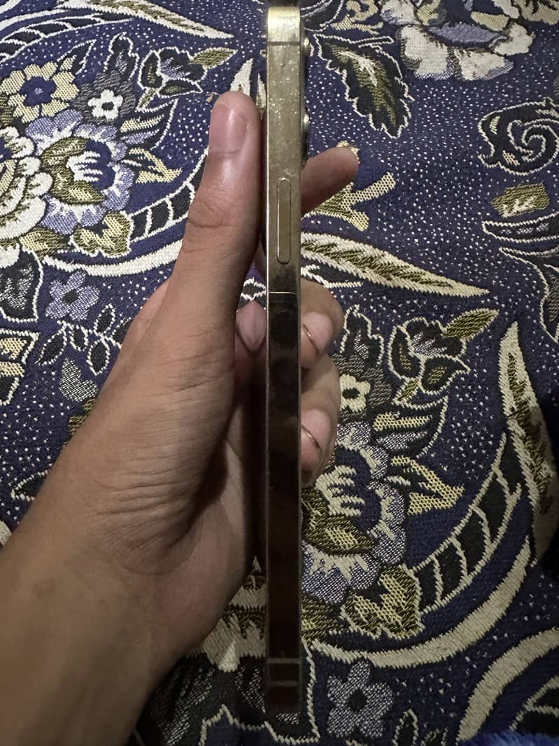 Apple iPhone 12 Pro Max 3