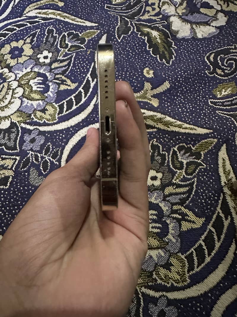Apple iPhone 12 Pro Max 6