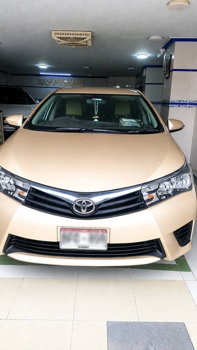 Toyota Corolla GLi 2016 Gold | Bumper to Bumper Genuine